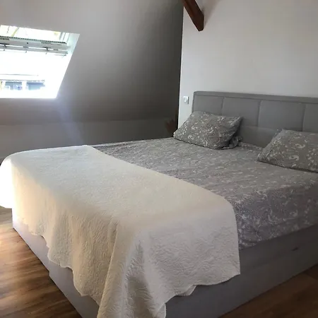 Einfamilienhaus Mit Garten Villa